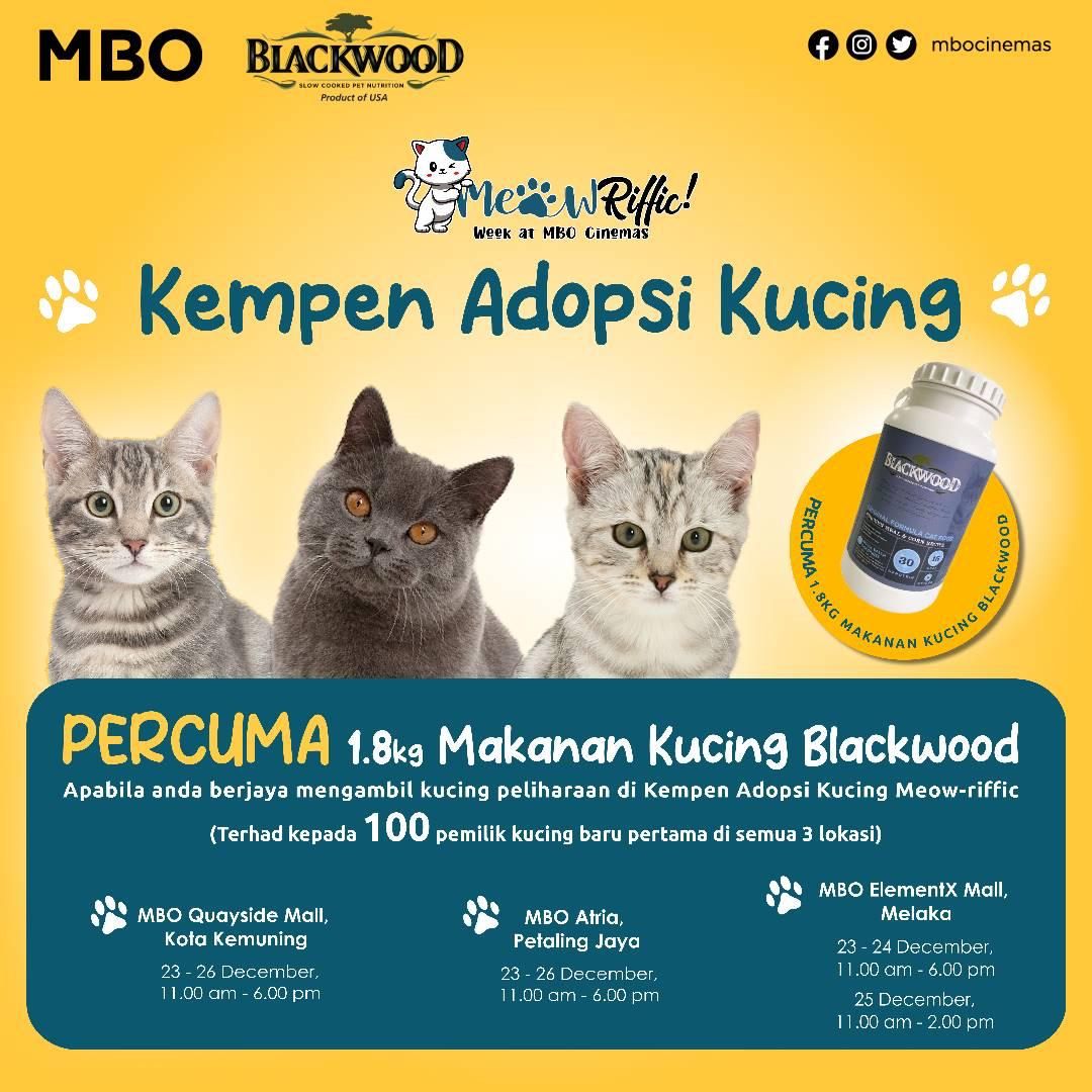 MBO Cat Adoption Campaign MBO Cat Adoption Campaign